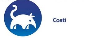 1487151414 coati 300x134 1 محمد جواد آهنگر